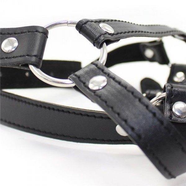 Ham de cap din piele și oțel Toyz4lovers cu inel de închidere