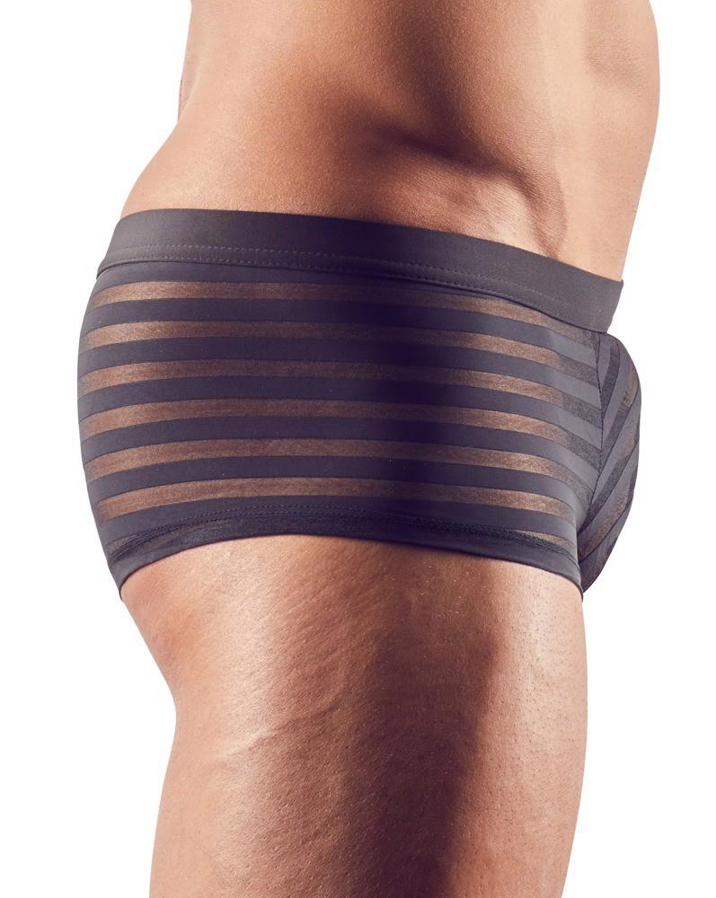 Pantaloni semitransparenți cu dungi pentru bărbați Svenjoyment L