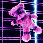 Ursuleț de bondage Crushito Crushious negru 31 cm