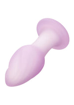 Plug anal vibrant Calexotics Lavender Haze Ridge Probe, violet