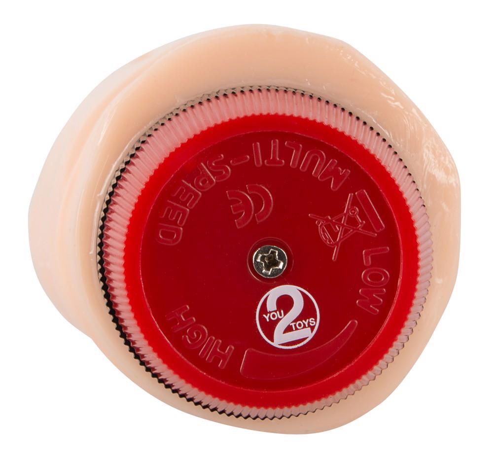 Vibrator realist Pasha You2Toys din PVC 23 cm