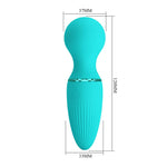 Vibrator mini din silicon Dwayne Pretty Love USB cu 10 moduri