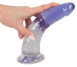 Set de penis cu două dildo-uri You2Toys