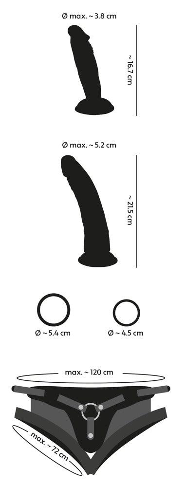Set de penis cu două dildo-uri You2Toys
