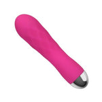 Vibrator Leten Pro Delight roz cu motor dublu USB 12,5 cm