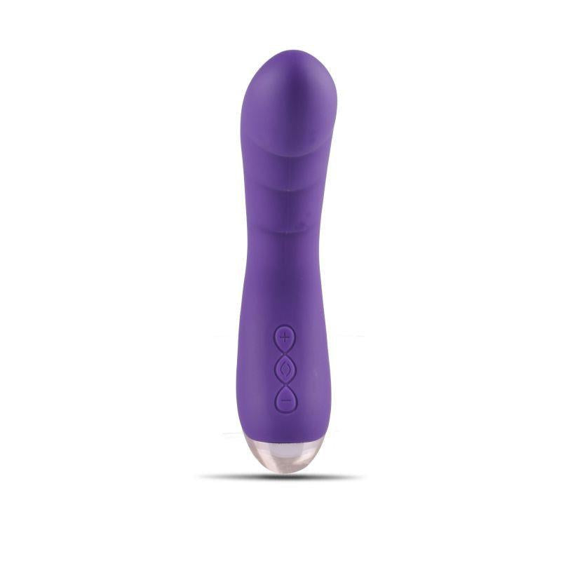 Vibrator Toyz4lovers Flex Silicon pentru Punct G 16cm USB