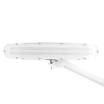 Lampă de atelier LED Elegante 801-l cu intensitate luminoasă reglabilă, albă