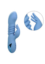 Vibrator Calexotics Santa Cruz Coaster din silicon, tip iepuraș, albastru