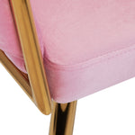 Scaun roz catifea 4Rico QS-GW06G