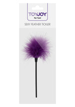 Pană de gâdilat ToyJoy violet 22 cm