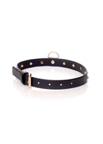 Colier Fetish B Series cu cristale turcoaz 2 cm