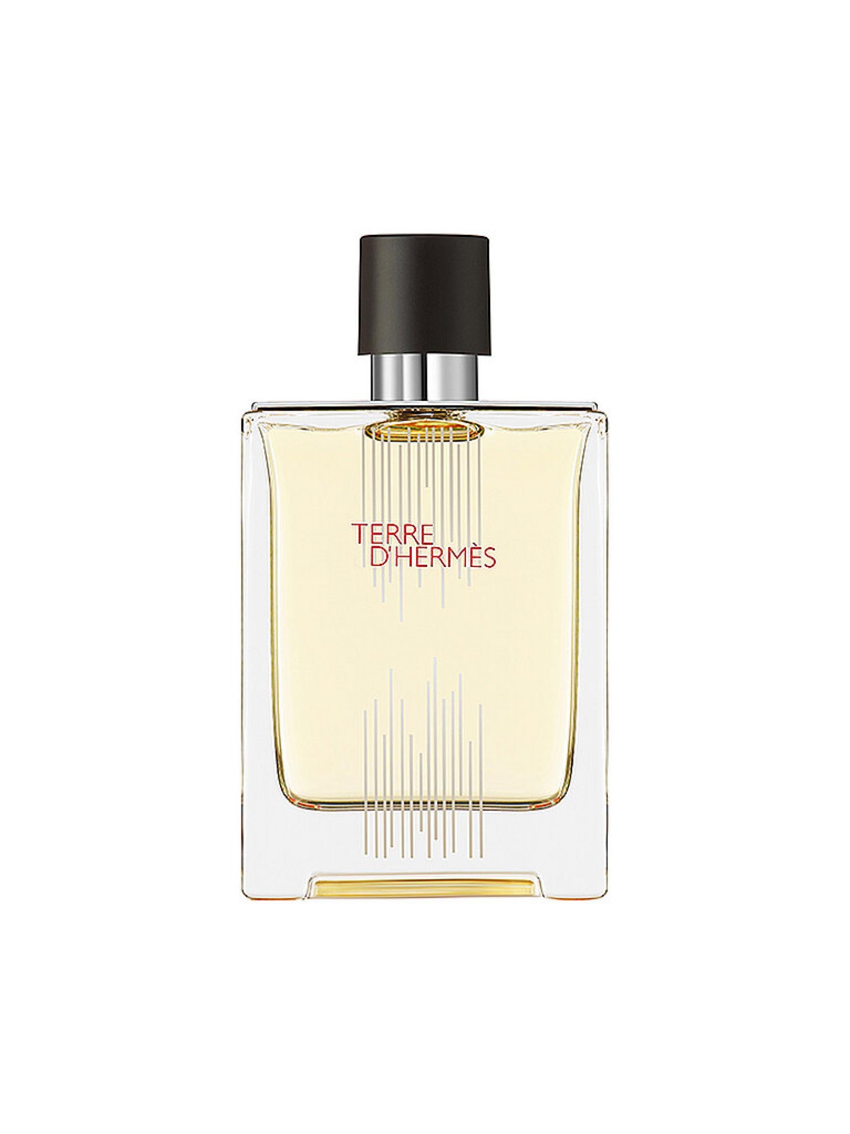 Hermes, Terre d'Hermes Flacon H Limited Edition, Apă de toaletă, Pentru bărbați, 100 ml