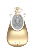 Stimulator clitoridian vibrant cu USB Innovation Gold