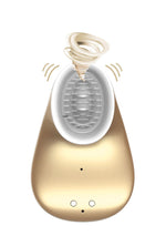 Stimulator clitoridian vibrant cu USB Innovation Gold