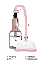 Pompă vaginală cu pompare Rose Gold