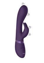 Vibrator Cato G-spot Vive Bunny, cu USB violet