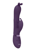 Vibrator Vive Gada Bunny cu USB Pulse Wave