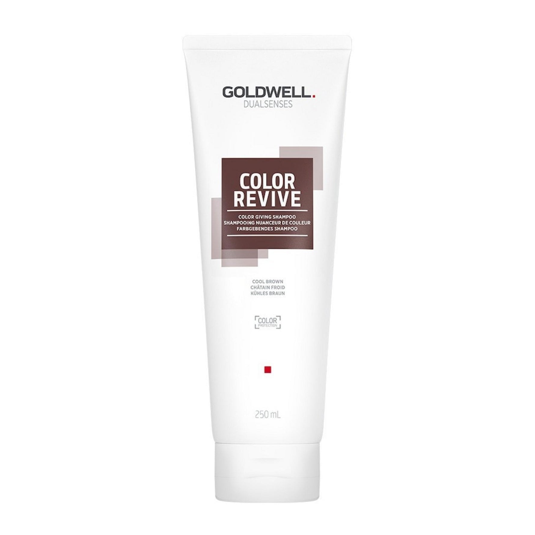 Goldwell, Dualsenses Color Revive, Șampon pentru colorarea părului,  Cool Brown, 250 ml