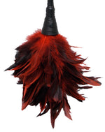 Jucărie Frisky Fetish Fantasy cu pene 36 cm