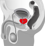 Masaj rotativ pentru prostată Twister You2Toys din silicon, 21 cm