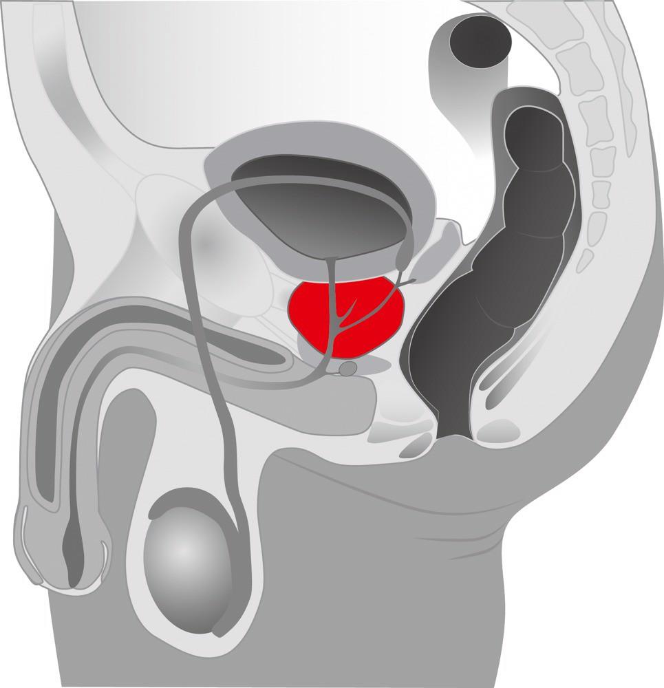 Masaj rotativ pentru prostată Twister You2Toys din silicon, 21 cm