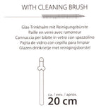 Paie de băut Willy Glass 21,5 cm 4 bucăți