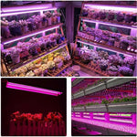 Lampa dubla pentru cresterea plantelor Flippy, 50 cm, T5, tehnologie LED, nu afecteaza plantele, potrivit pentru