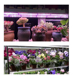Lampa dubla pentru cresterea plantelor Flippy, 50 cm, T5, tehnologie LED, nu afecteaza plantele, potrivit pentru