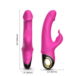 Vibrator B-Series Joy Meteor Silicon Iepuraș Roz USB 23 cm