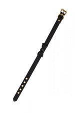 Zgardă Party Hard Decadence Lola Games Negru și Roșu 49 cm