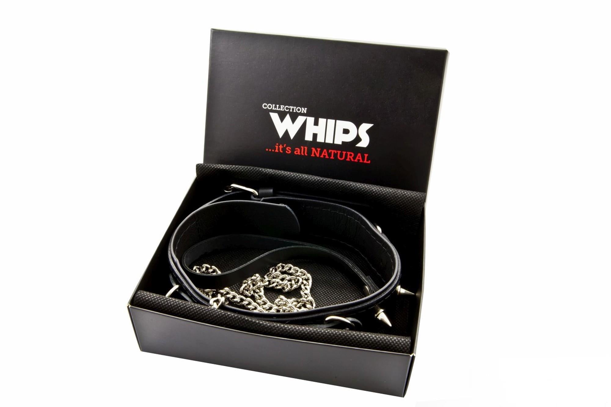 Zgardă bărbătească Whips Collection cu inele D și lesă