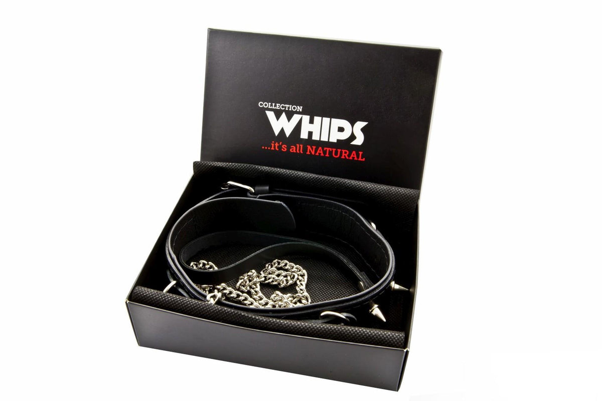 Zgardă bărbătească Whips Collection cu inele D și lesă