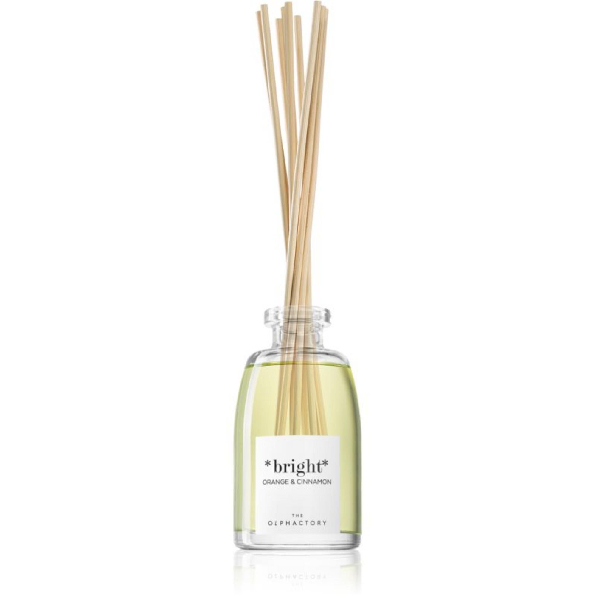 The Olphactory, Bright Orange & Cinnamon, Fragrance Sticks, Aroma Reed Diffuser, 250 ml