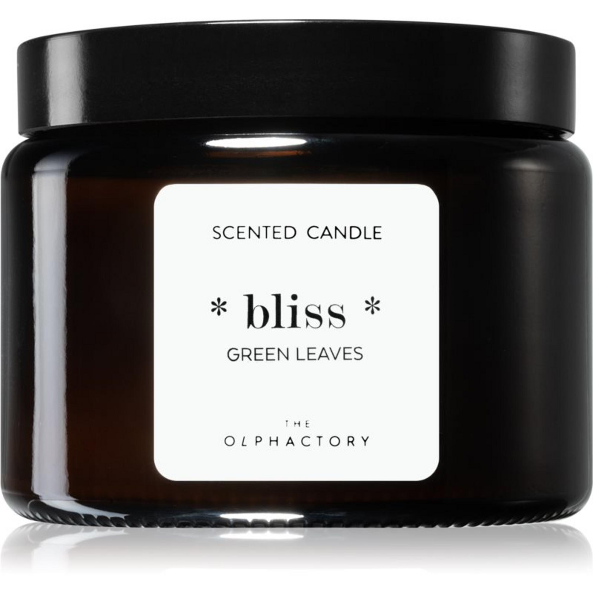 The Olphactory, Bliss Green Leaves, Green Leaves, Scented Candle, 360 g