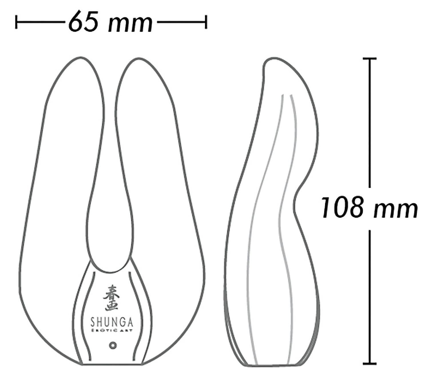 Vibrator dublu Shunga Aiko din silicon, negru, USB, 11 cm