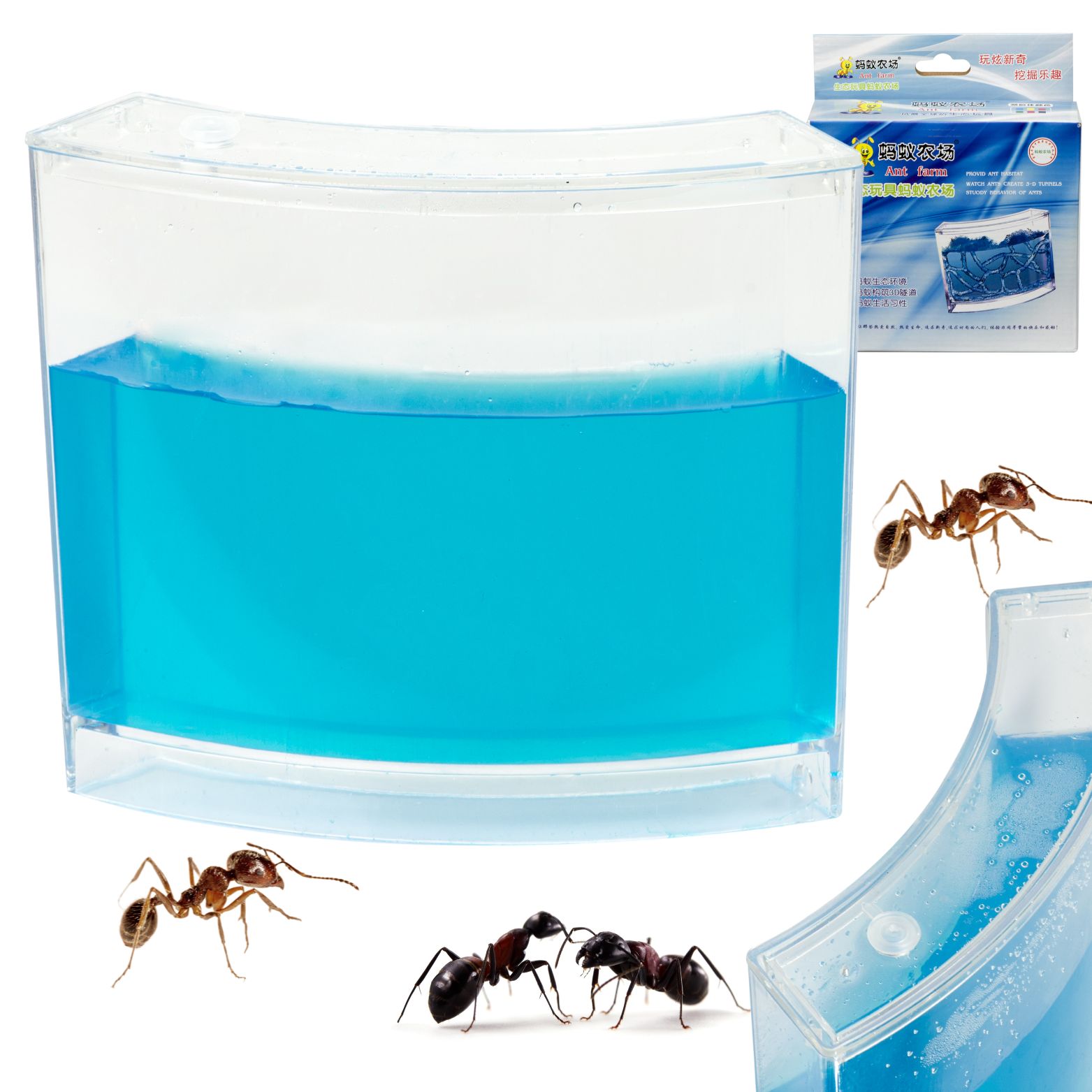 Acvariu educativ cu gel pentru furnici