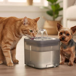 Fântână de apă pentru câini, pisici, animale, adăpător automat, USB 2l, filtru de curățare