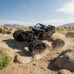 Mașină telecomandă RC Rock Crawler 4 x 4 LHC012 2 în 1 neagră