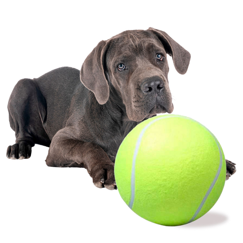 Jucărie pentru câini, minge de tenis gigantică, XXL, 24 cm