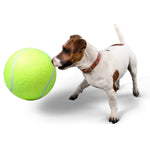 Jucărie pentru câini, minge de tenis gigantică, XXL, 24 cm