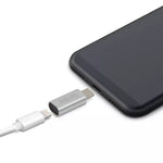Adaptor tata USB type C - iPhone lightning mama argintiu delight