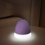 Aparat de Scame 2 in 1, Flippy, Curatare Haine si Lampa de Veghe, 3 Trepte, Incarcare Tip C, 4 W, 9 x 10 cm, Mov