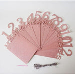 Banner pentru Poze, Flippy, 15.2x10.2 cm, Tema Prima Aniversare, Model Primele 12 Luni, Rola Ata Inclusa, Roz