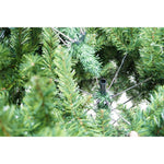 Brad artificial de Craciun tip pin, pentru interior/exterior, inaltime 210 cm, diametru 125 cm, 980 ramuri, Flippy,
