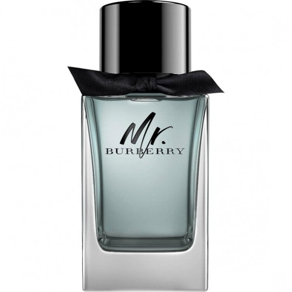 Burberry, Mr. Burberry, Apă de toaletă, Pentru bărbați, 100 ml