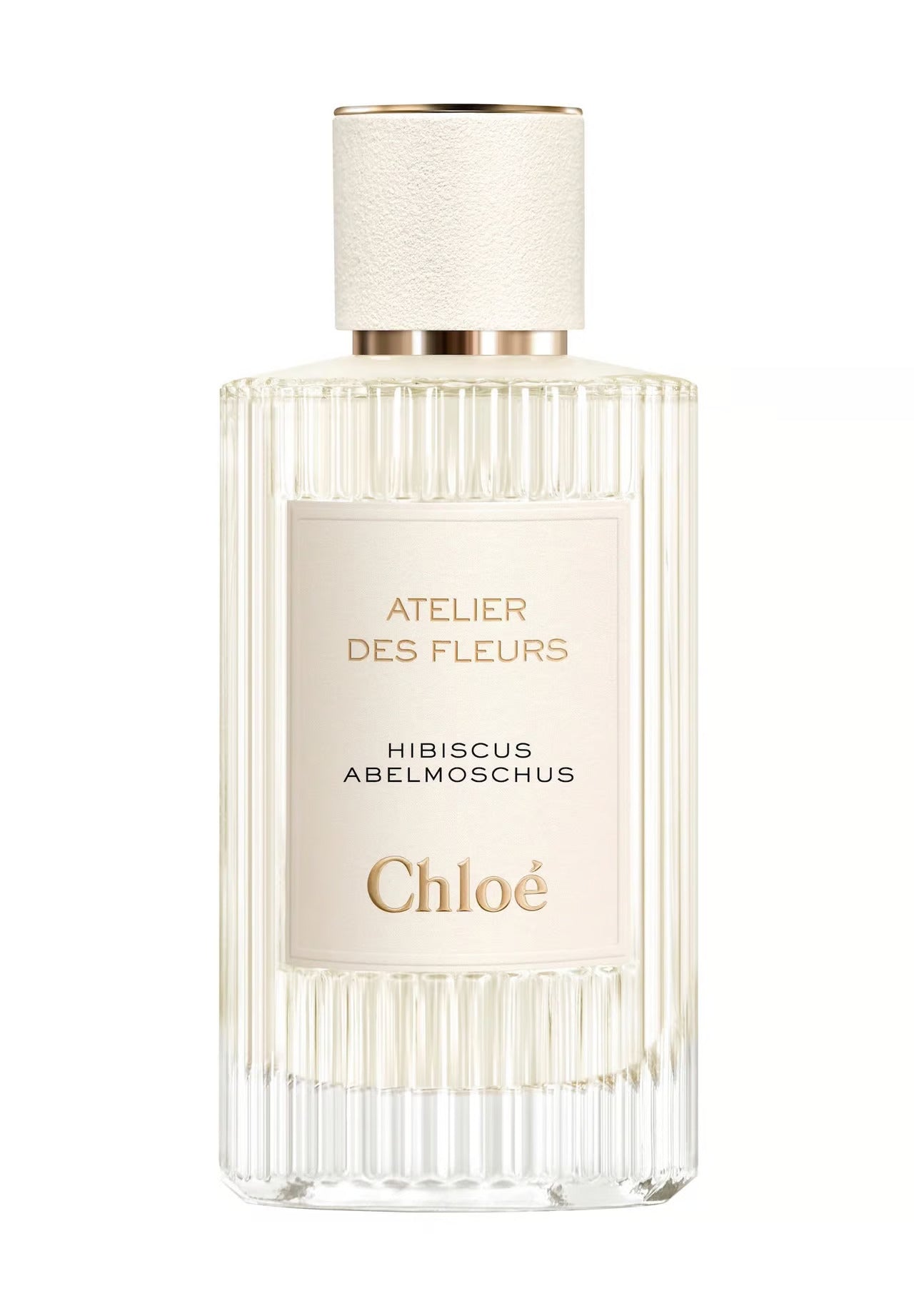 Chloe, Hibiscus Abelmoschus, Apă de parfum, Pentru femei, 150 ml - Olmarkt