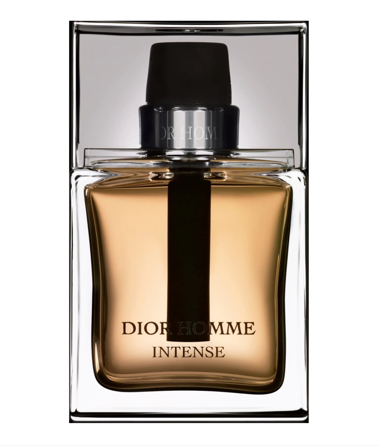 Christian Dior, Dior Homme Intense, Apă de parfum, Pentru bărbați, 100 ml