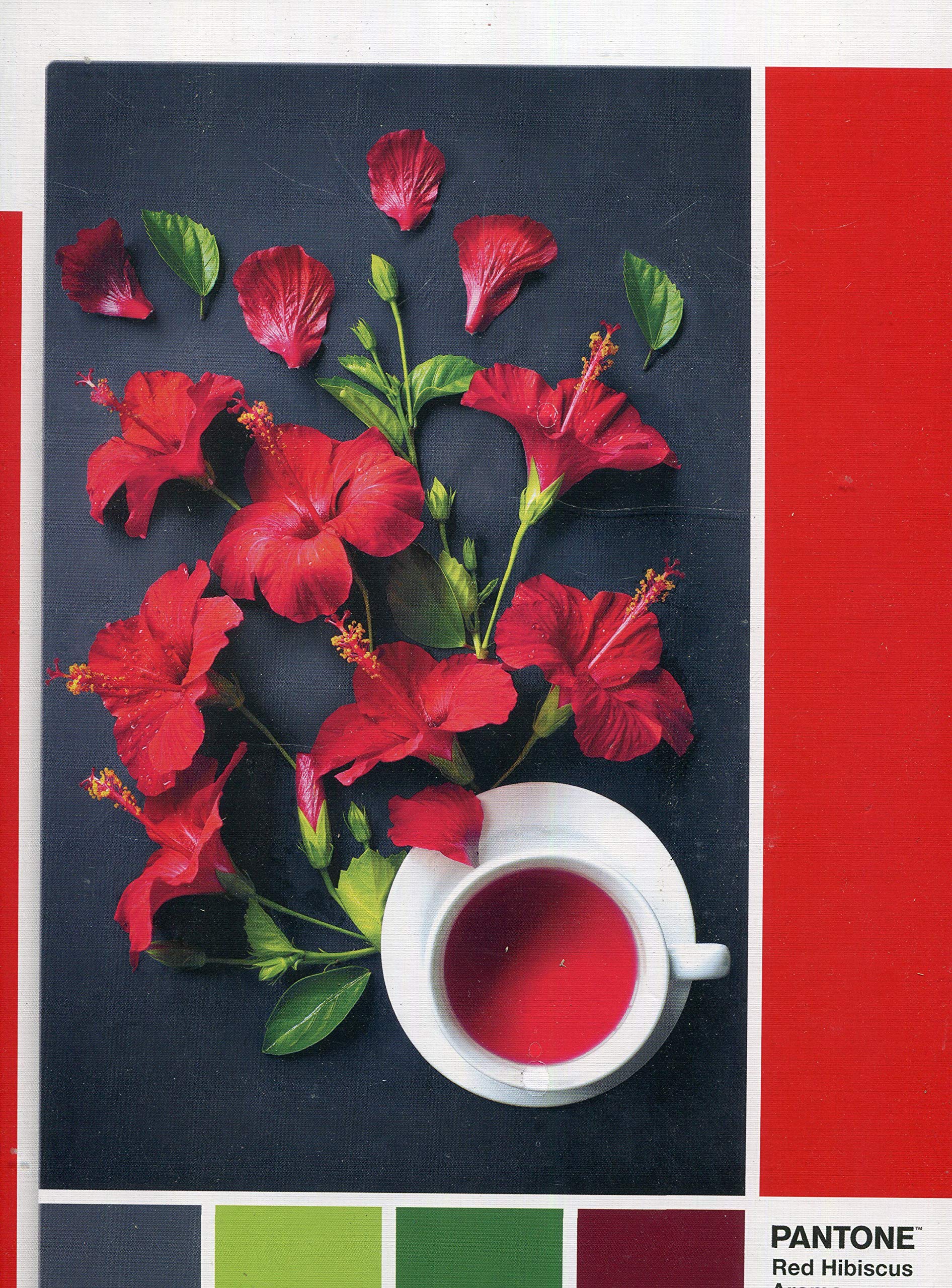 Clementoni, Pantone, Fructe de goji, Puzzle, Unisex, 1000 buc - Olmarkt