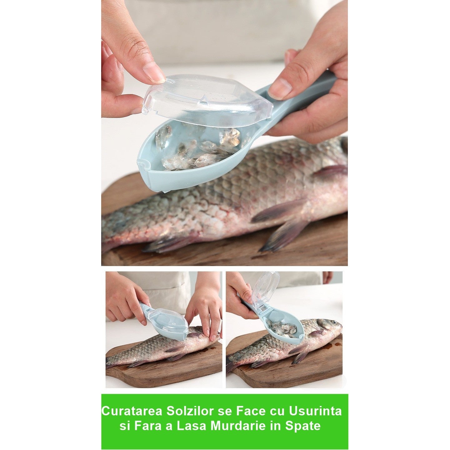 Curatator Manual Solzi de Peste, Flippy, Forma Peste , Recipient cu Capcac pentru Solzi, Plastic, Albastru deschis,
