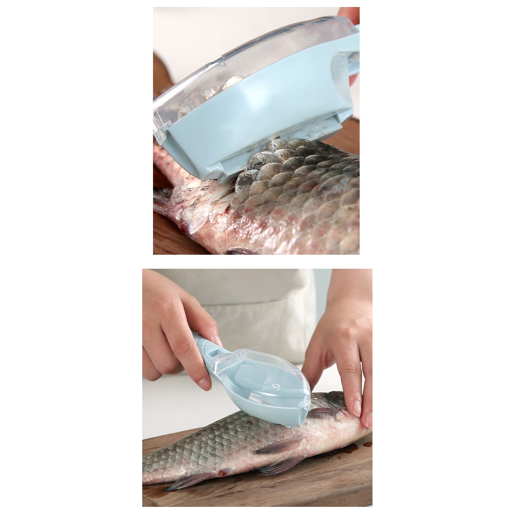 Curatator Manual Solzi de Peste, Flippy, Forma Peste , Recipient cu Capcac pentru Solzi, Plastic, Albastru deschis,